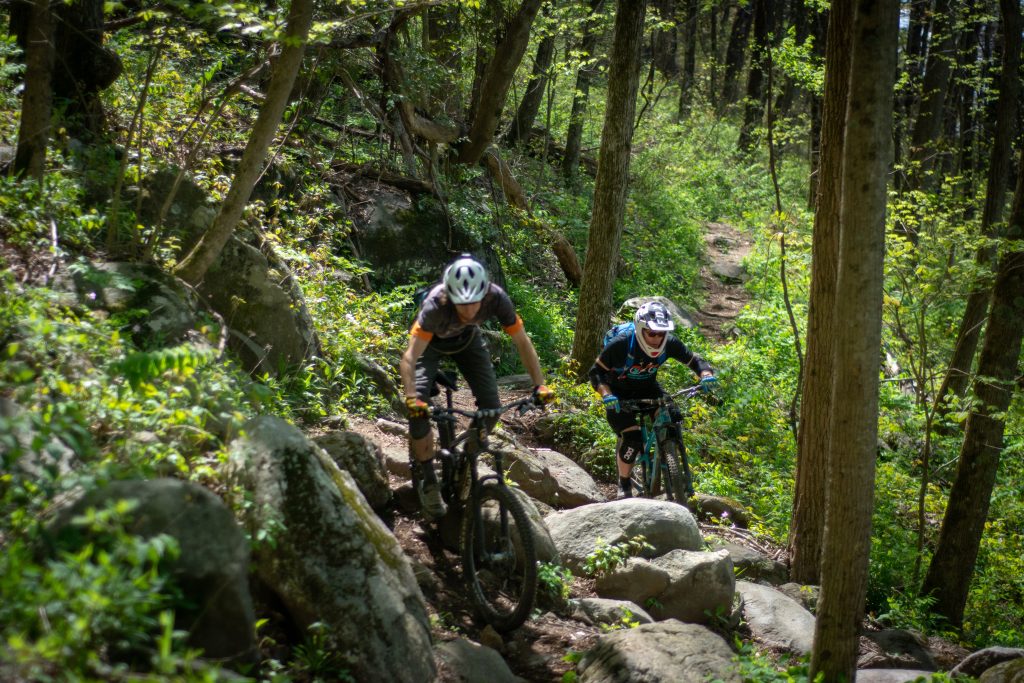 Mulberry gap best sale mountain bike trails