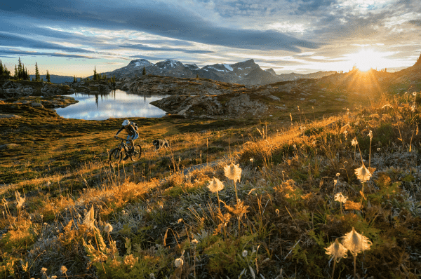 adventuring solo_girl and dog_mtb