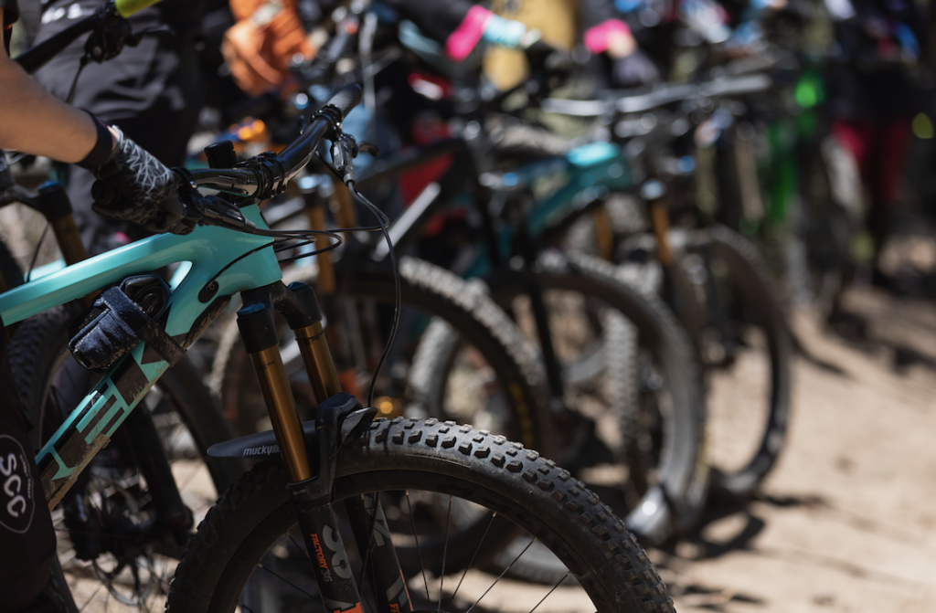 Group of bikes